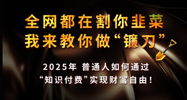 全网都在割你韭菜,我来教你做镰刀,2025年普通人如何通过 知识付费 实现财F自由【揭秘】-风淘社