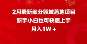 2月最新细分领域落地项目,新手小白也可快速上手,月入1W-风淘社