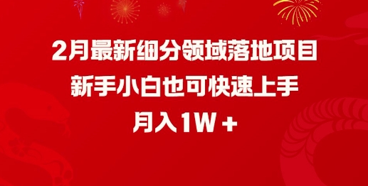 2月最新细分领域落地项目,新手小白也可快速上手,月入1W-风淘社