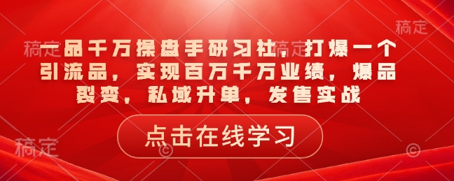 一品千万操盘手研习社,打爆一个引流品,实现百万千万业绩,爆品裂变,私域升单,发售实战-风淘社