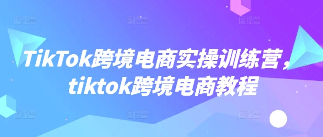 TikTok跨境电商实操训练营,tiktok跨境电商教程-风淘社