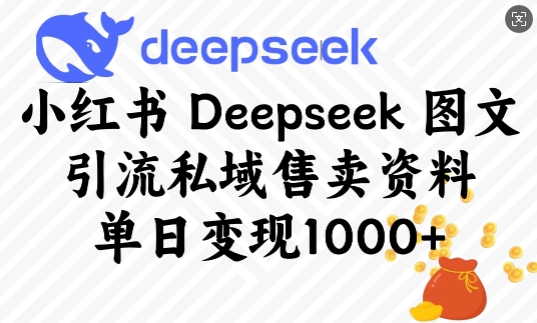 小红书Deepseek图文引流私域售卖资料,单日变现多张-风淘社