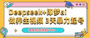 小白用DeepSeek+即梦做ai养生视频，一条作品涨粉5万+，单日收益多张-风淘社