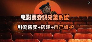 电影票券码采集系统_从商户放单转型做抢单达人-风淘社