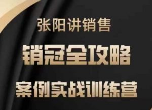 张阳讲销售实战训练营,案例实战训练,销冠全攻略-风淘社
