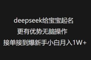 deepseek给宝宝起名更有优势无脑操作接单接到爆新手小白月入1W+-风淘社