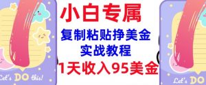 复制粘贴挣美金,0门槛,1天收入95美刀,3分钟学会,内部教程(首次公开)-风淘社