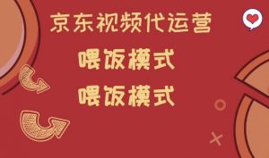 京东短视频代运营,喂饭模式,小白轻松上手【揭秘】-风淘社