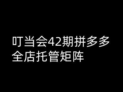 叮当会拼多多打爆班原创高阶技术第42期,拼多多全店托管矩阵-风淘社