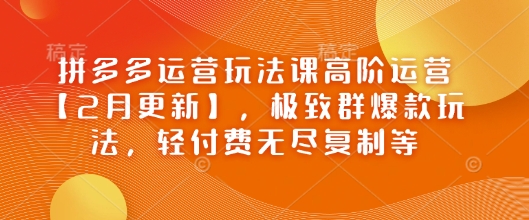 拼多多运营玩法课高阶运营【2月更新】,极致群爆款玩法,轻付费无尽复制等-风淘社