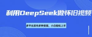 利用DeepSeek做怀旧视频,流量号多渠道变现能力强-风淘社