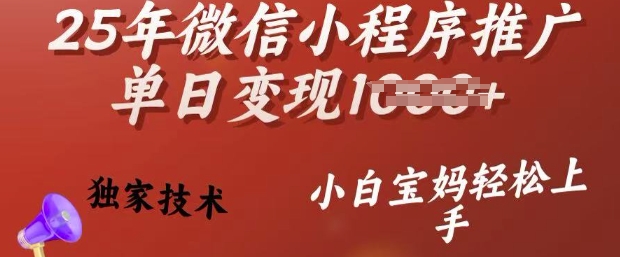 25年微信小程序推广单日变现多张,独家技术,小白宝妈轻松上手【揭秘】-风淘社