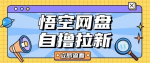 全网首发悟空网盘云真机自撸拉新项目玩法单机可挣10.20不等-风淘社