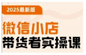 2025最新版微信小店带货者实操课,基础操作到高级运营技巧,快速上手-风淘社