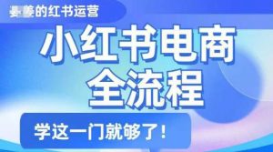 小红书电商全流程,精简易懂,从入门到精通,学这一门就够了-风淘社