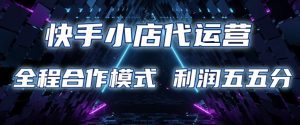 快手小店代运营 限时托管计划 合作模式 利润五五分成【揭秘】-风淘社