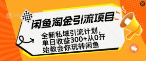 闲鱼淘金私域引流计划,从0开始玩转闲鱼,副业也可以挣到全职的工资-风淘社