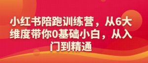 小红书陪跑训练营，从6大维度带你0基础小白，从入门到精通-风淘社