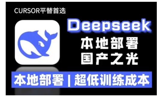 2025年deepseek R1 大型模型本地安装部署(文件+教程)本地部署，超低训练成本-风淘社