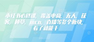 小红书必修课,覆盖电商,无人,获客,种草,mcn,直播等多个板块,看了就能干-风淘社
