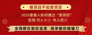 必看,做项目不如卖项目,2025普通人如何通过“卖项目”实现月入十个,年入百个-风淘社