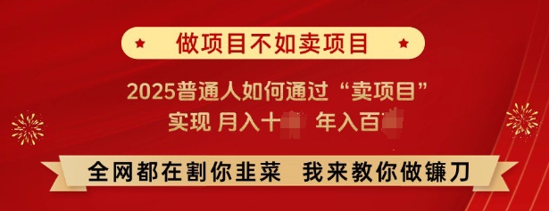必看,做项目不如卖项目,2025普通人如何通过“卖项目”实现月入十个,年入百个-风淘社