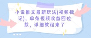 小说推文最新玩法(视频标记)，单条视频收益四位数，详细教程来了-风淘社