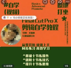 轻松玩转剪辑系统课,从零开始快速上手,同步练习高效学习,思维提升从简到难-风淘社