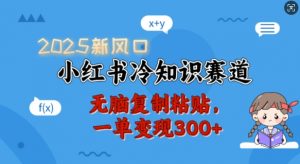 2025新风口,小红书冷知识赛道,无脑复制粘贴,一单变现300+-风淘社