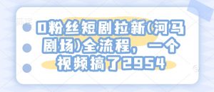 0粉丝短剧拉新(河马剧场)全流程,一个视频搞了2954-风淘社