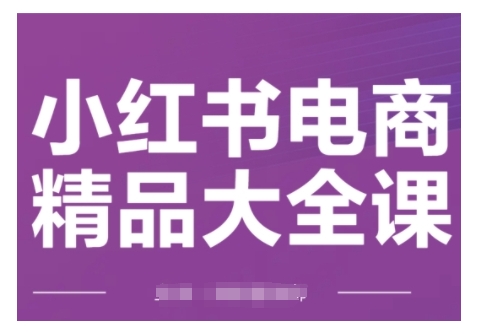小红书电商精品大全课,快速掌握小红书运营技巧,实现精准引流与爆单目标,轻松玩转小红书电商(更新2月)-风淘社