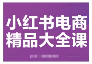 小红书电商精品大全课,快速掌握小红书运营技巧,实现精准引流与爆单目标,轻松玩转小红书电商-风淘社