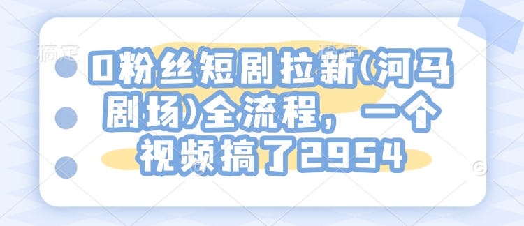 0粉丝短剧拉新(河马剧场)全流程,一个视频搞了2954-风淘社