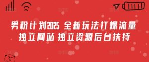 男粉计划2025  全新玩法打爆流量 独立网站 独立资源后台扶持【揭秘】-风淘社