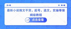 最新小说推文干货，起号，选文，实操等保姆级教程-风淘社