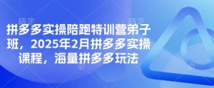 拼多多实操陪跑特训营弟子班，2025年2月拼多多实操课程，海量拼多多玩法-风淘社