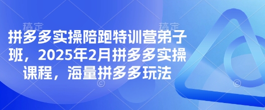 拼多多实操陪跑特训营弟子班，2025年2月拼多多实操课程，海量拼多多玩法-风淘社