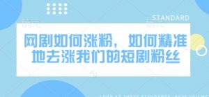 网剧如何涨粉，如何精准地去涨我们的短剧粉丝-风淘社