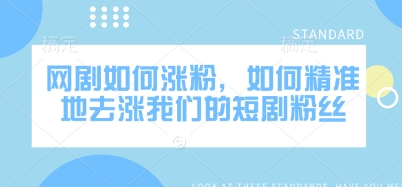 网剧如何涨粉，如何精准地去涨我们的短剧粉丝-风淘社