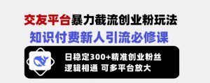 交友平台暴力截流创业粉玩法,知识付费新人引流必修课,日稳定300+精准创业粉丝,逻辑相通可多平台放大-风淘社