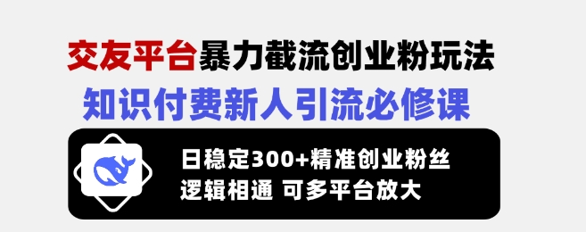 交友平台暴力截流创业粉玩法,知识付费新人引流必修课,日稳定300+精准创业粉丝,逻辑相通可多平台放大-风淘社
