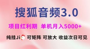 搜狐音频挂ji3.0.可矩阵可放大，独家技术，稳定月入5000+【揭秘】-风淘社