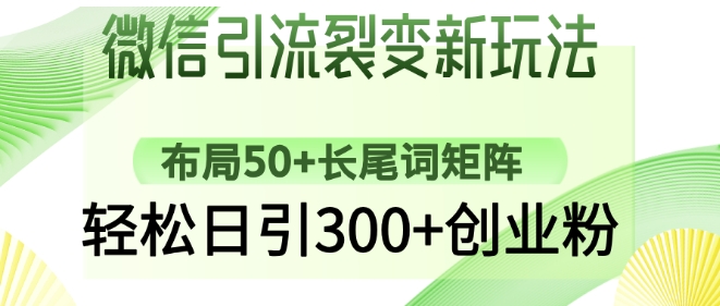 微信引流裂变新玩法：布局50+长尾词矩阵，轻松日引300+创业粉-风淘社