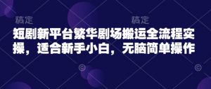 短剧新平台繁华剧场搬运全流程实操，适合新手小白，无脑简单操作-风淘社