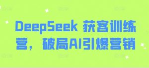 DeepSeek 获客训练营,破局AI引爆营销-风淘社