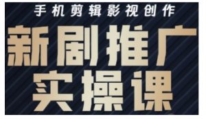 影视短剧号运营与剪辑实战全攻略,手机剪辑影视创作,新剧推广实操课-风淘社