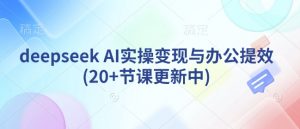 deepseek AI实操变现与办公提效(20+节课更新中)-风淘社