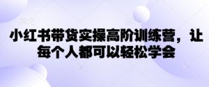 小红书带货实操高阶训练营,让每个人都可以轻松学会-风淘社
