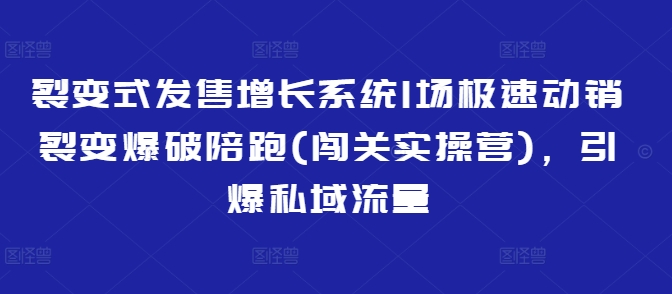 裂变式发售增长系统1场极速动销裂变爆破陪跑(闯关实操营),引爆私域流量-风淘社