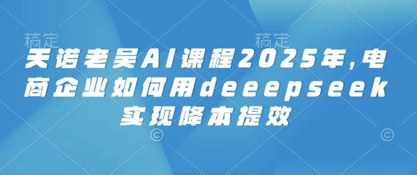 天诺老吴AI课程2025年,电商企业如何用deeepseek实现降本提效-风淘社